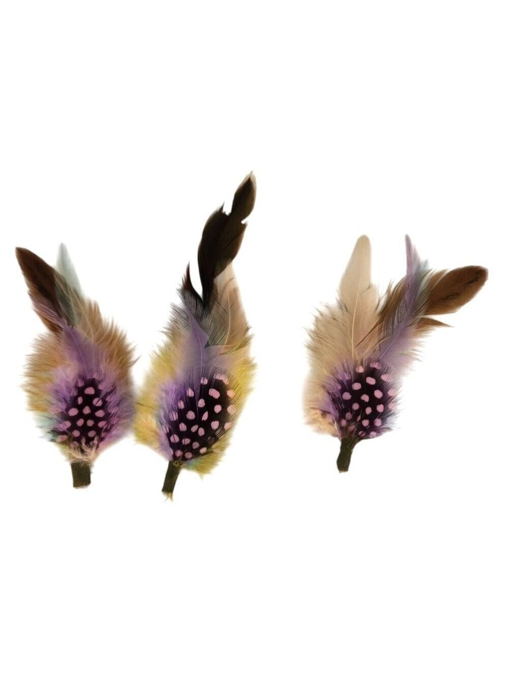 Guineafowl Feather Purple Yellow Craft Supply